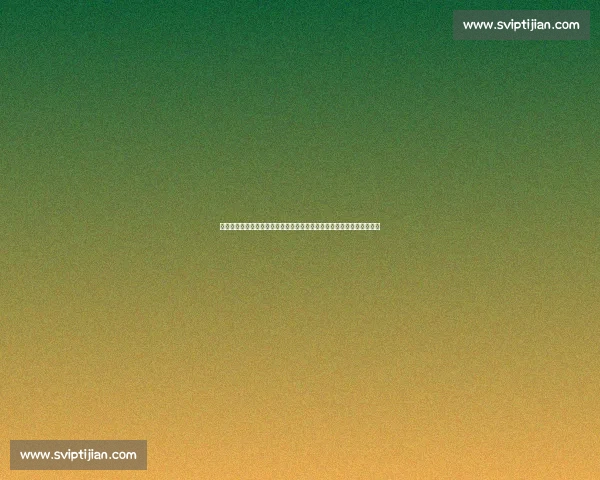 徐晓冬对阵柳海龙掀起传统武术与实战格斗世纪之辩真相与争议全面解析