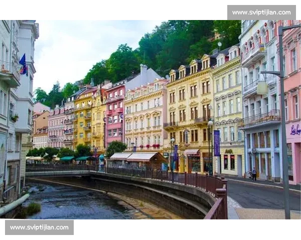 捷克对阵德国赛前预测胜负走势与关键看点解析数据分析战术博弈全面解读