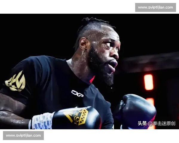 波维特金与维尔德世纪对决 谁将成为拳坛王者的继承人