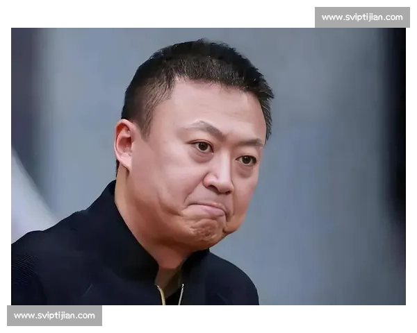 巅峰对决马琳VS朱见证国乒智慧与力量的终极碰撞之夜历史时刻