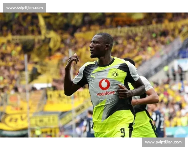 霍芬海姆主场迎战多特蒙德德甲强强对话看点十足赛前前瞻走势解析